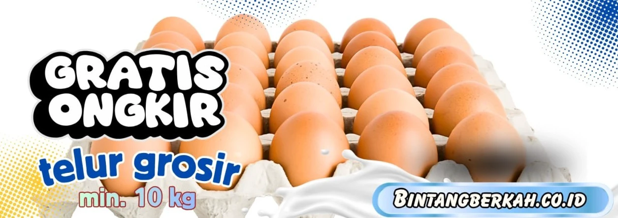 https://assets.setoko.co/uploads/49897/banner/2026/05/eb069bf3-3427-40c5-9fce-169b638cba8d.webp